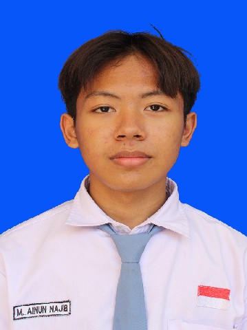 MUHAMMAD AINUN NAJIB