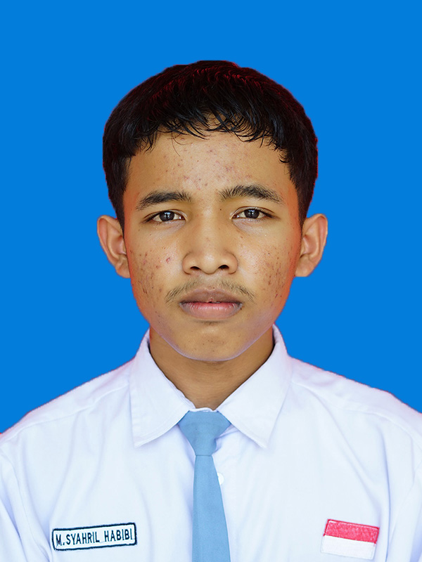 M SYAHRIL HABIBI